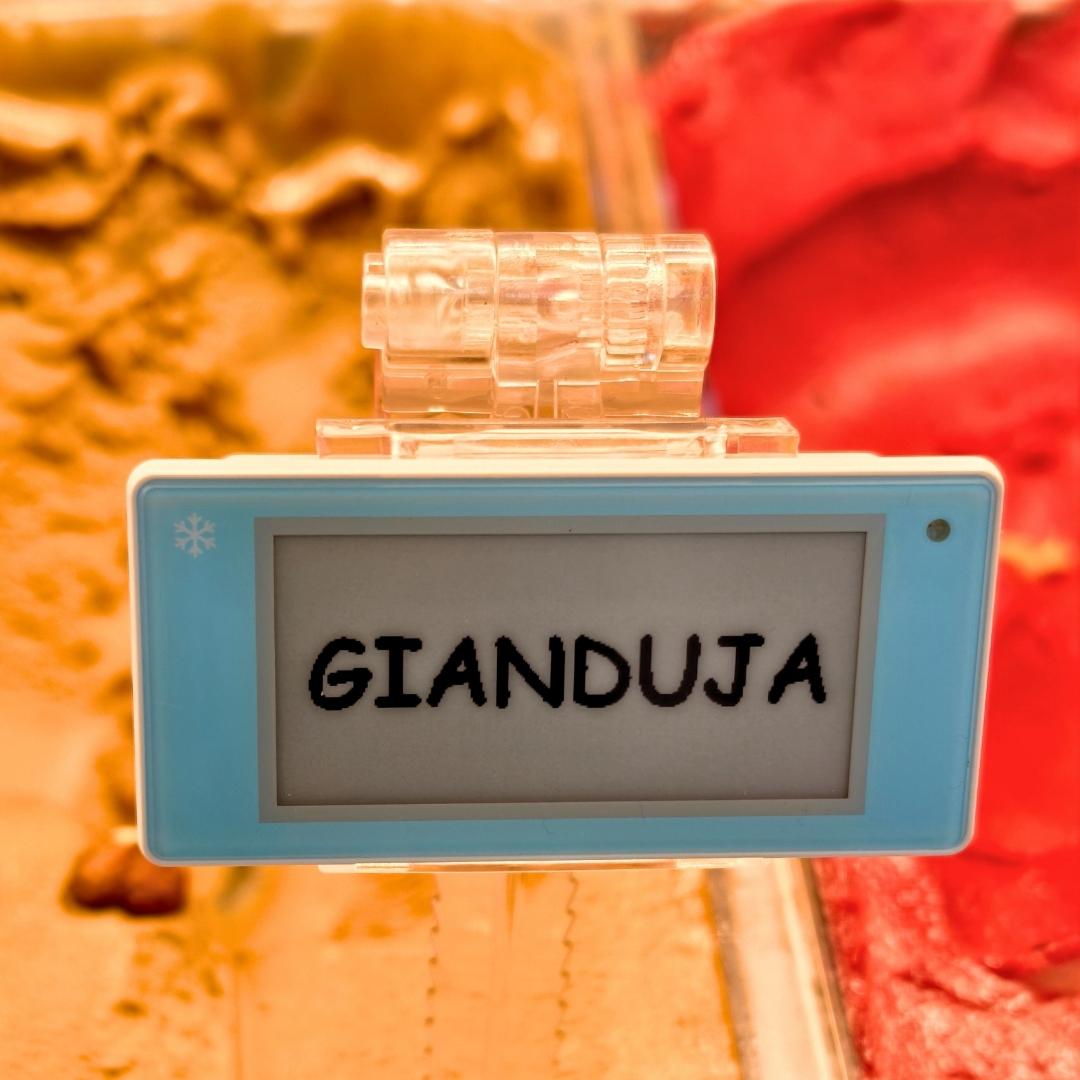 2.13" ELECTRONIC SHELF LABEL (Cold temperature)